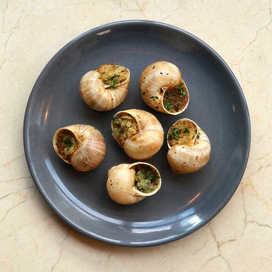 Burgundy snails